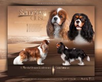 Vrh "A" 7.-8.3.2023, 6 štěňátek